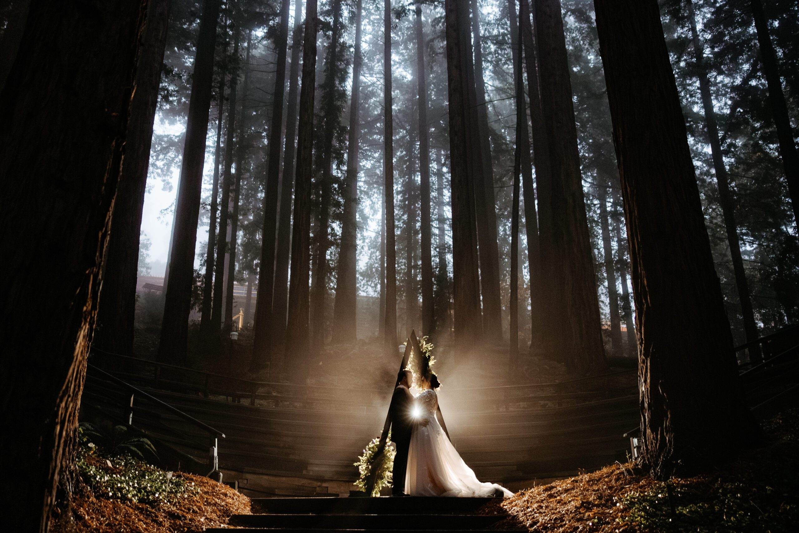 moody wedding portrait in the redwood grove at uc botanical gardens