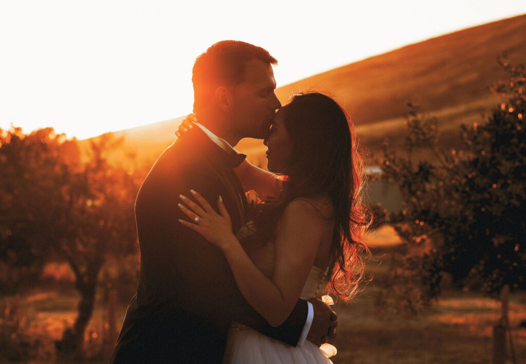 romantic sunset portrait of bride and groom at purple orchid vineyards in livermore caliornia